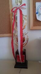 あ～(。>д<)残念で仕方がない