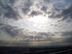 世界の存在　自戒の損害