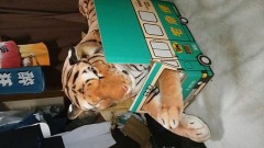 【お題日記】親子だなぁと感じること