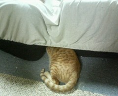 生きている魂の行先って　誰も決めちゃいないからね