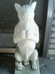 狂った魚と泳いでみた訳で