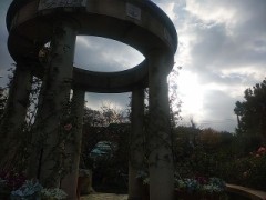 笑えば良いと想えば良いと思うよ