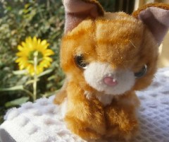 遅咲きのヒマワリヾ(◎ó㉨ò)ﾉ