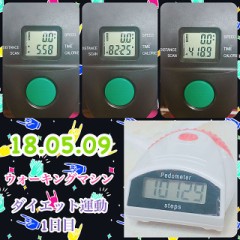 ちょっと食べ過ぎで太り気味...