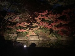 紅葉狩り行ってきました