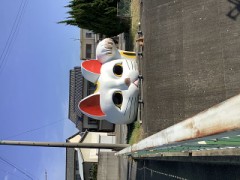 大きな招き猫(=^ェ^=)