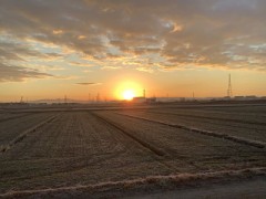 今年も宜しくお願いします