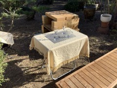 ガーデンパーティー