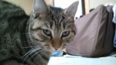 【お題日記】どうすれば自分を好きになれるの？