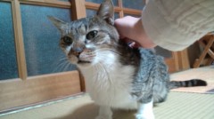 【お題日記】男女の友情って成立するの？