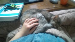 30代～について