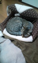 なんとも言えない気分