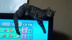 むーーー( ・ω・｀)