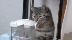 場所確保(´-｀)
