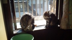 先生のせいにしちゃいかんよ(´Д｀)