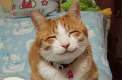 【お題日記】デジカフェをはじめたきっかけ