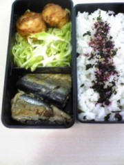 本日のお弁当