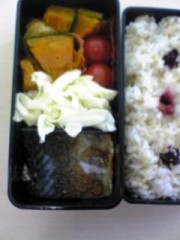 昨日のお弁当