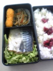 昨日のお弁当