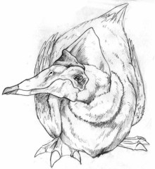 くりぃむしちゅう（芸人じゃないよ）