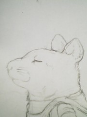 年賀状の季節だねｗ