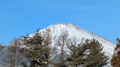 【お題日記】あなたのストレス解消法