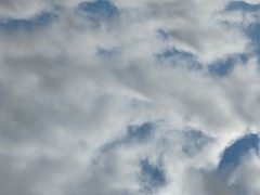 【お題日記】今日の気分を一言で表すと？