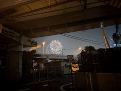 【お題日記】今年は花火大会行った？