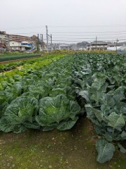 おはようございます&#65039;