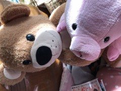 【お題日記】おでんの具は何が好き？