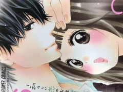 【お題日記】好きになった相手が人の物だったら