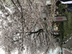 【お題日記】いつも出掛ける時に必ず持ち歩いている物