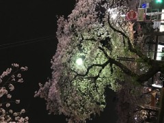 【お題日記】あなたの得意料理を教えて下さい