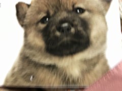 【お題日記】10年後の自分はどうなってると思う？