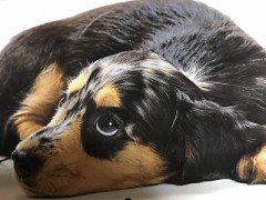 【お題日記】眠れない時どうしてる？