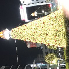 【お題日記】スポーツ観戦行ったことある？