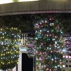 【お題日記】こういう人とはHしたくない