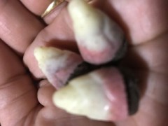 【お題日記】ケンカ後のエッチ