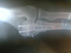 こんな画像見た事ある?元気してます！