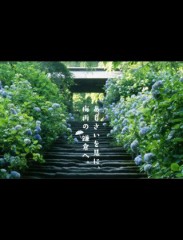 【お題日記】デートで行きたい場所