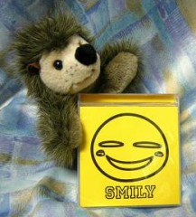 なきたいところは