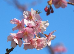 考えすぎると、人間は臆病になる。.