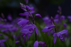 昨夜は酔っぱらって間違えたので…w