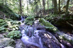 【お題日記】チャレンジしてみたい事