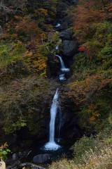 【お題日記】自分の事を寂しがり屋だと思う？