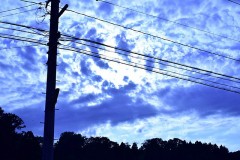 【お題日記】子供の時になりたかった職業や夢は？