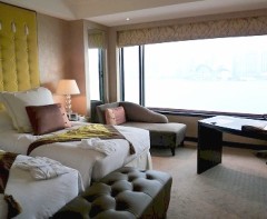 出かけてました