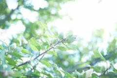 【お題日記】初体験の後、世界が変わった感じがした？