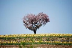【お題日記】電話とメールならどっちが好き？