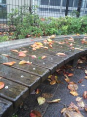 【お題日記】どうしたら、自信が持てるんだ？！